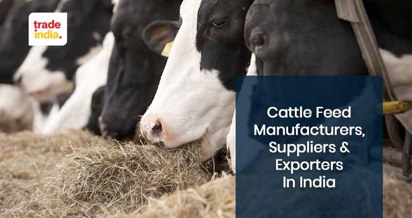 Top 10 Cattle Feed Companies in India Top 10 Cattle Feed Companies in India