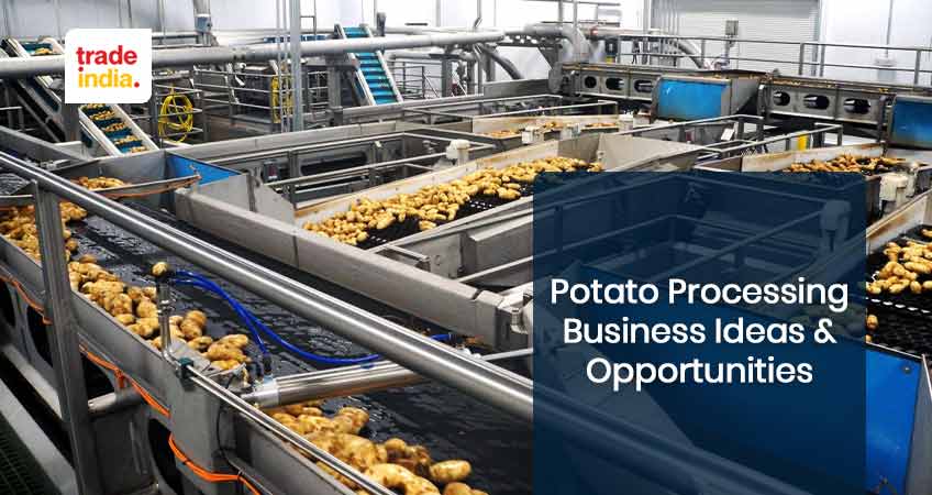 Profitable Potato Processing Business Ideas & Opportunities