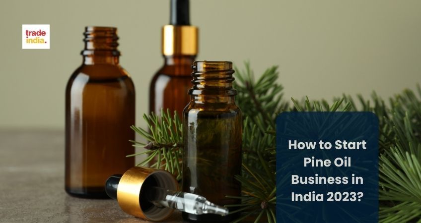How to Start Pine Oil Business in India #2024?