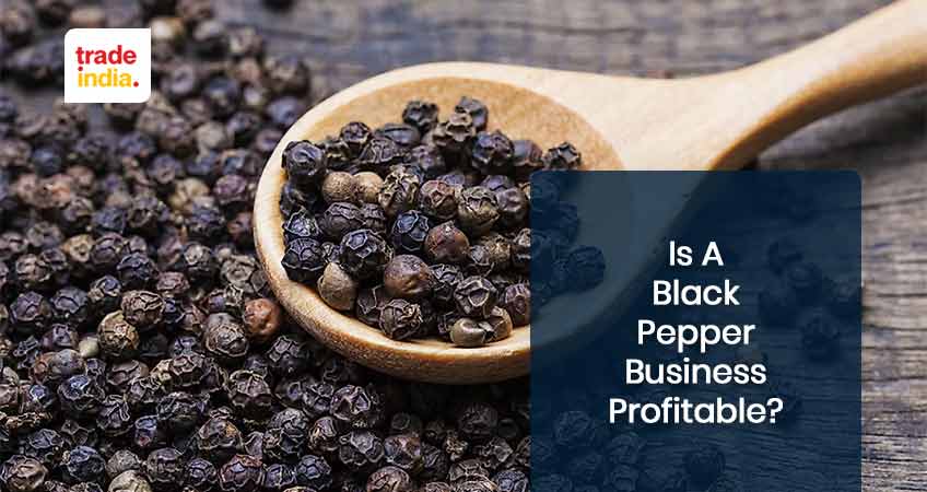 Profitable Black Pepper Business