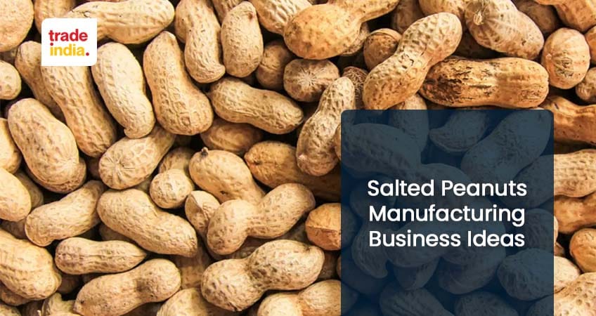 Salted Peanuts Manufacturing Business Steps
