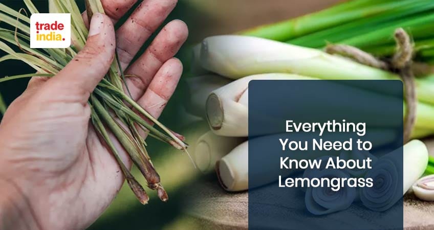 Lemongrass - Benefits, Usage, and History