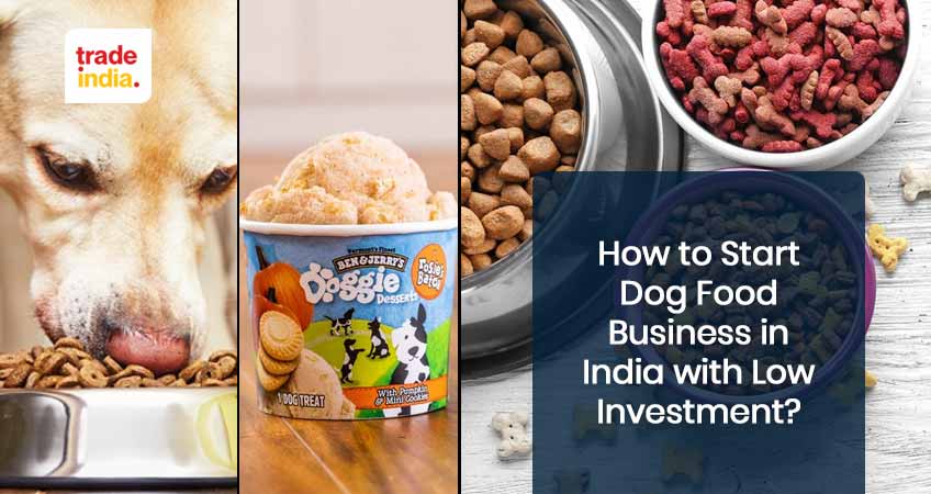 Best tips to start a dog food business in india 2024