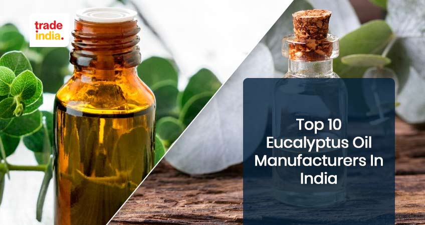 Top 10 Eucalyptus Oil Manufacturers In India [Cost, Manufacturing Process]