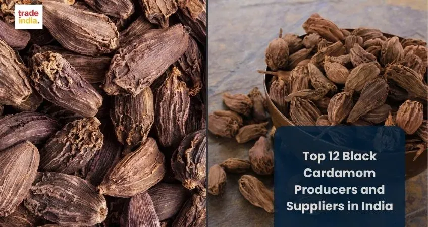 12 Black Cardamom Producers and Suppliers in India