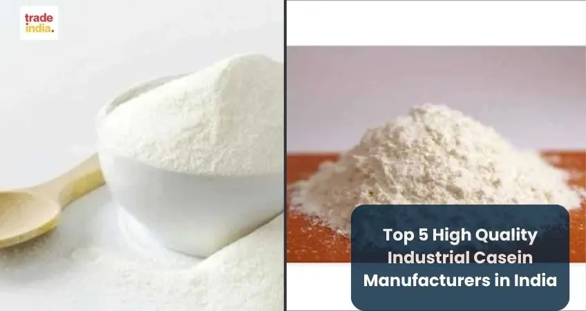 High Quality Industrial Casein Manufacturers in India