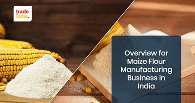 Maize Flour Making Business In India 2025 An Overview Of Maize Flour Manufacturing Business In India