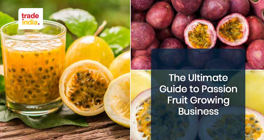 The Ultimate Guide to Passion Fruit Growing Business