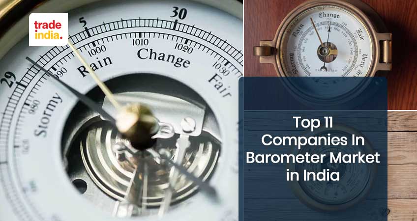 Top 11 Companies In Barometer Market