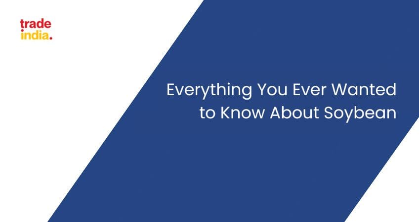 Everything You Ever Wanted to Know About Soybean
