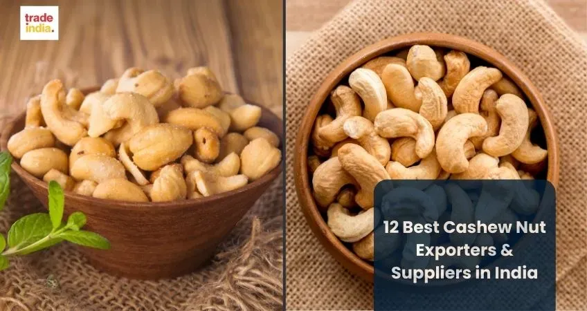 12 Best Cashew Nut Exporters & Suppliers in India
