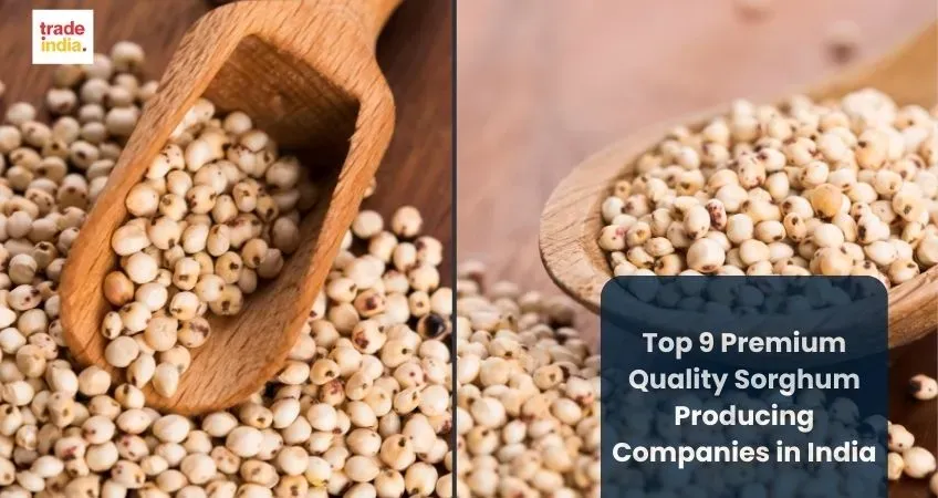 Top 9 Premium Quality Sorghum Producing Companies in India