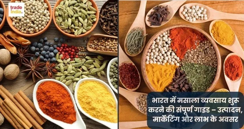 भारत में मसाला व्यवसाय शुरू करने की संपूर्ण गाइड – उत्पादन, मार्केटिंग और लाभ के अवसर