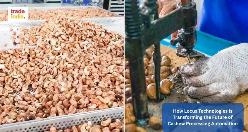 How Locus Technologies Is Transforming the Future of Cashew Processing Automation