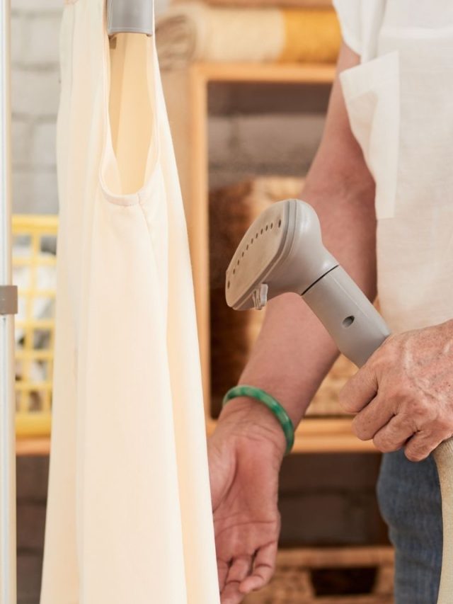 Best 08 Garment Steamer Brands In India Tradeindia