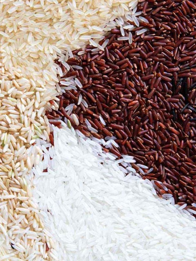7 Different Types Of Basmati Rice Tradeindia