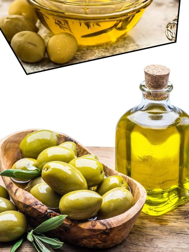 Best 7 Olive Oil Manufacturers and Suppliers in India  Stories