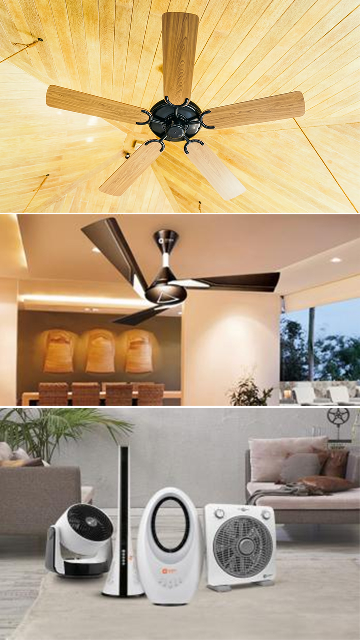 Top Rated Ceiling Fan Manufacturers Shelly Lighting
