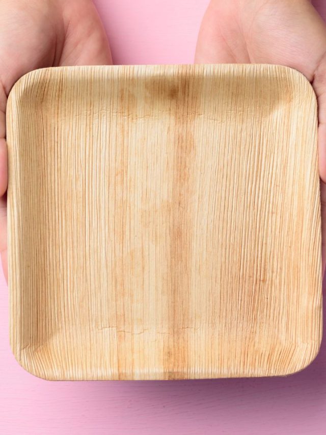 Benefits Of Using Biodegradable Plates  Stories Tradeindia