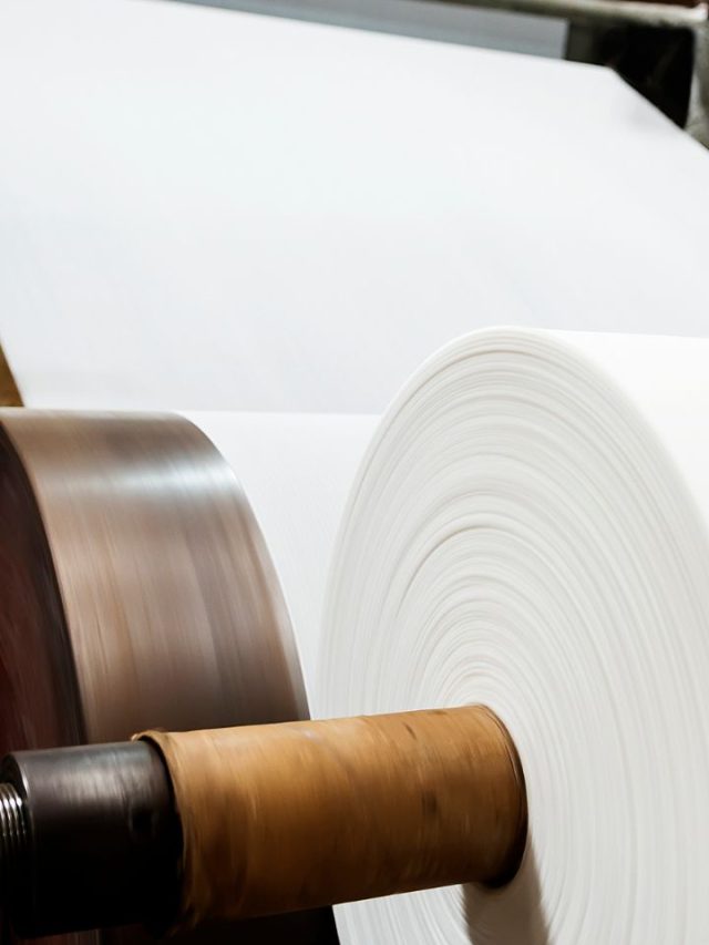 BudgetFriendly Paper PlateMaking Machines Tradeindia