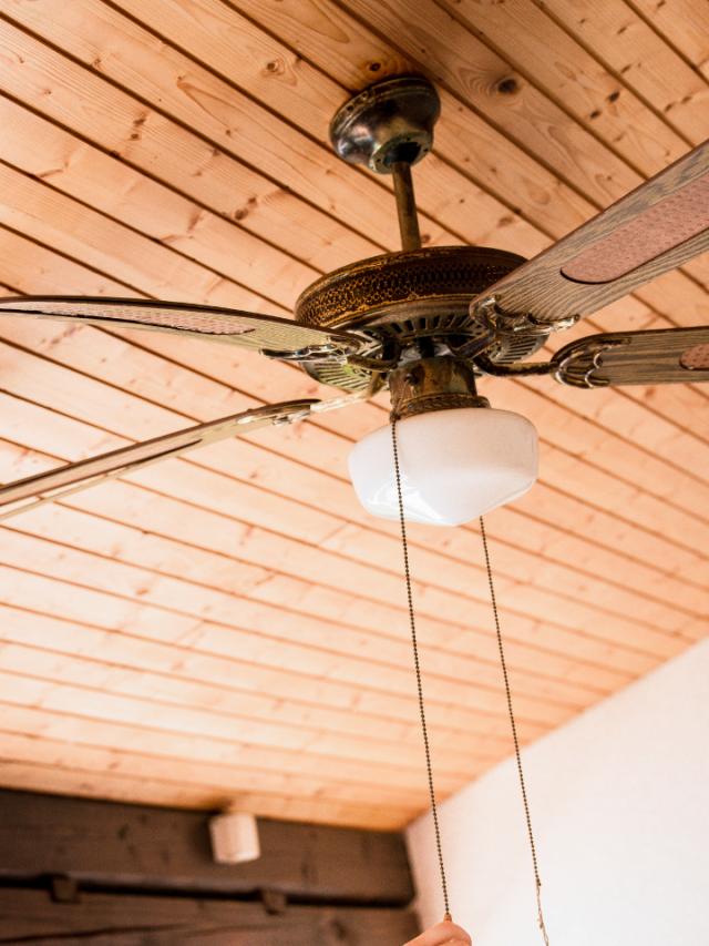 Top 7 Ceiling Fans Manufacturers In India(2023) Tradeindia