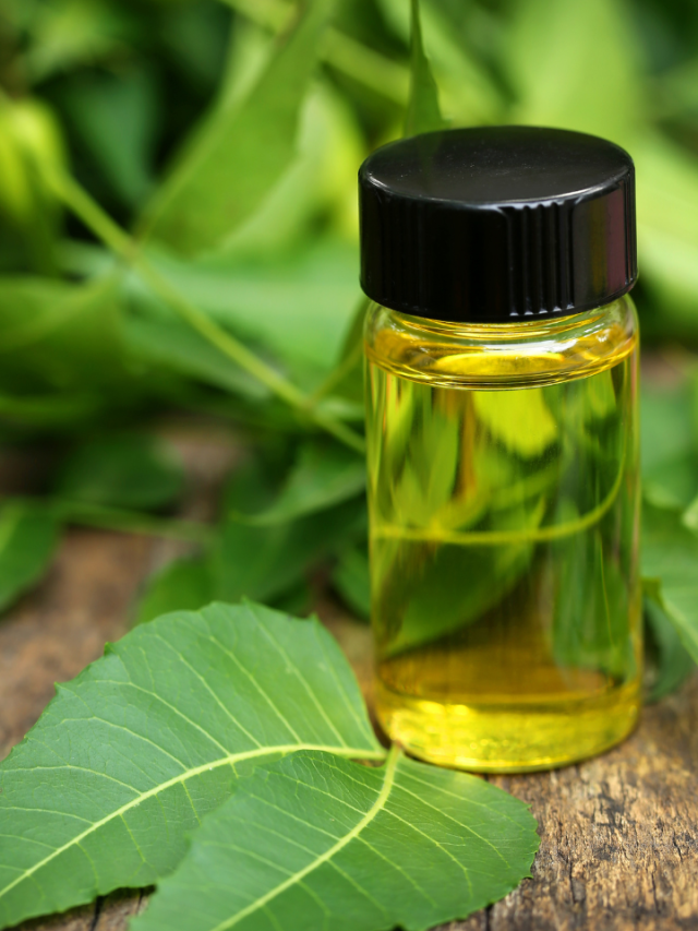 Benefits Of Using Neem Oil On Skin Tradeindia