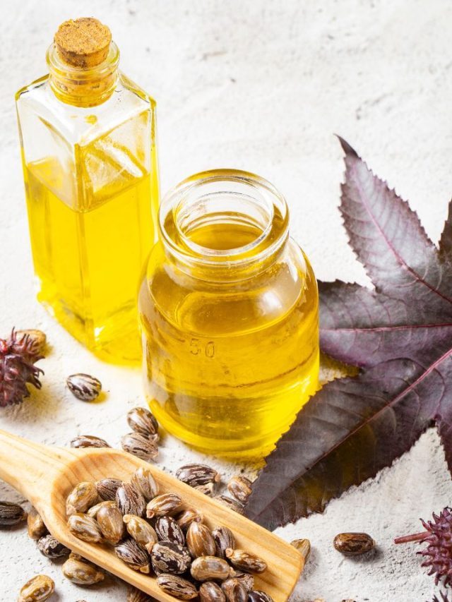 9 health benefits and uses of castor oil tradeindia
