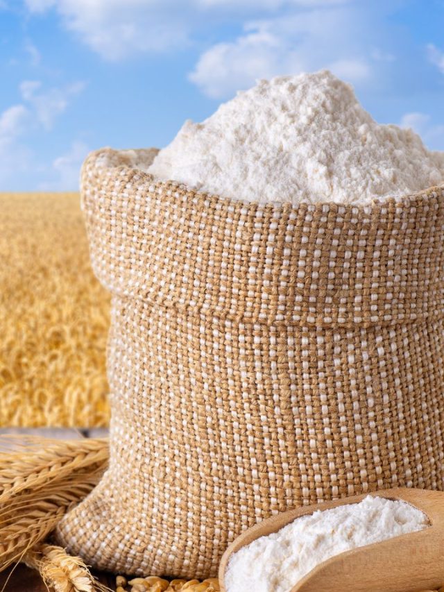 Top 10 Best Recipes for Using Wheat Flour in Baking