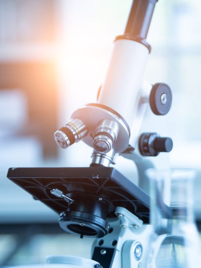 Top 8 Microscope Brands In India 2023 Tradeindia