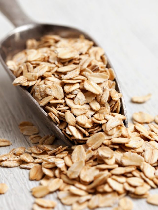7 Different Types Of Oats That You Should Know Tradeindia