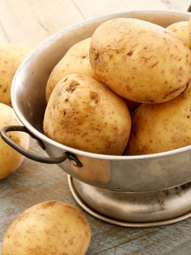 8 Different Varieties Of Potatoes And Their Uses Tradeindia