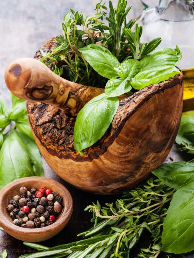 7 Best Herbs For Beautiful Skin And Hair Tradeindia