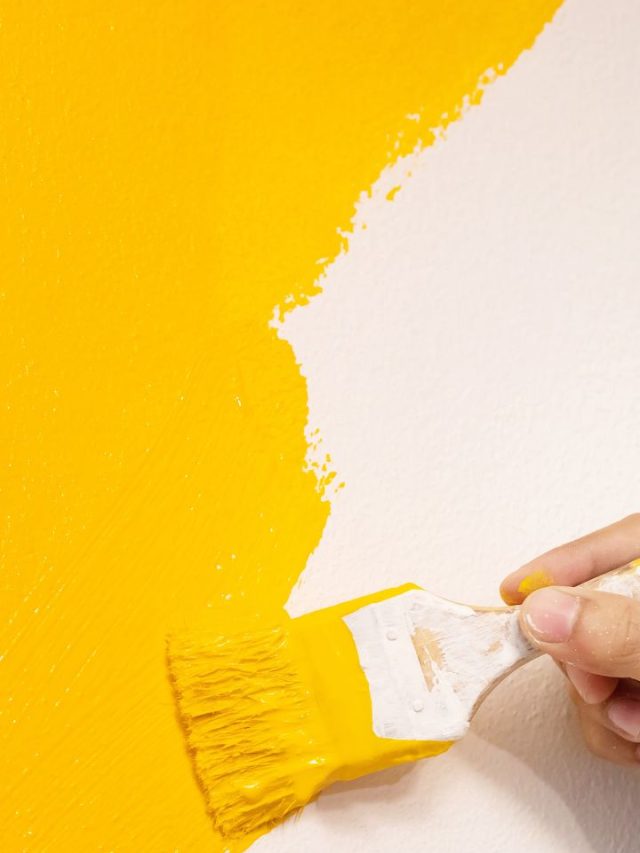 8 Best Wall Paint Colour Combination for Your Home Tradeindia