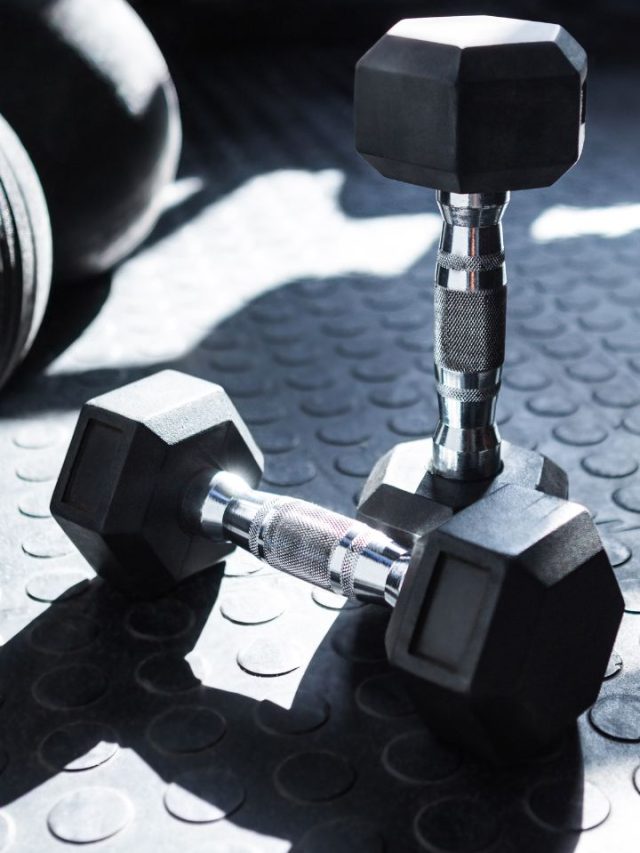 Best Gym Accessories For Every Fitness Enthusiast Tradeindia