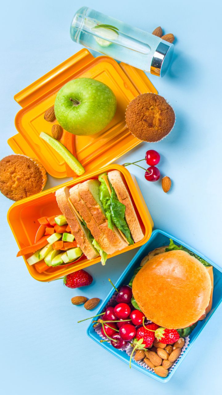 8 Amazing Toddler Lunch Box for 2023