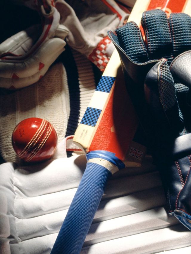 Top 8 Essential Cricket Equipment For Beginners Tradeindia