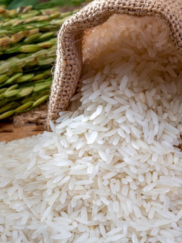 Top 8 Rice Varieties In India 2023 - Tradeindia Webstories