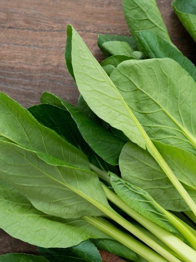 8 Surprising Health Benefits Of Mustard And Spinach Tradeindia