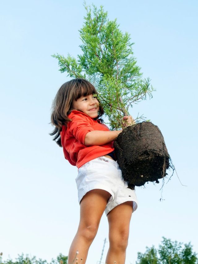 8 Simple Tips To Protect Your Plants Tradeindia