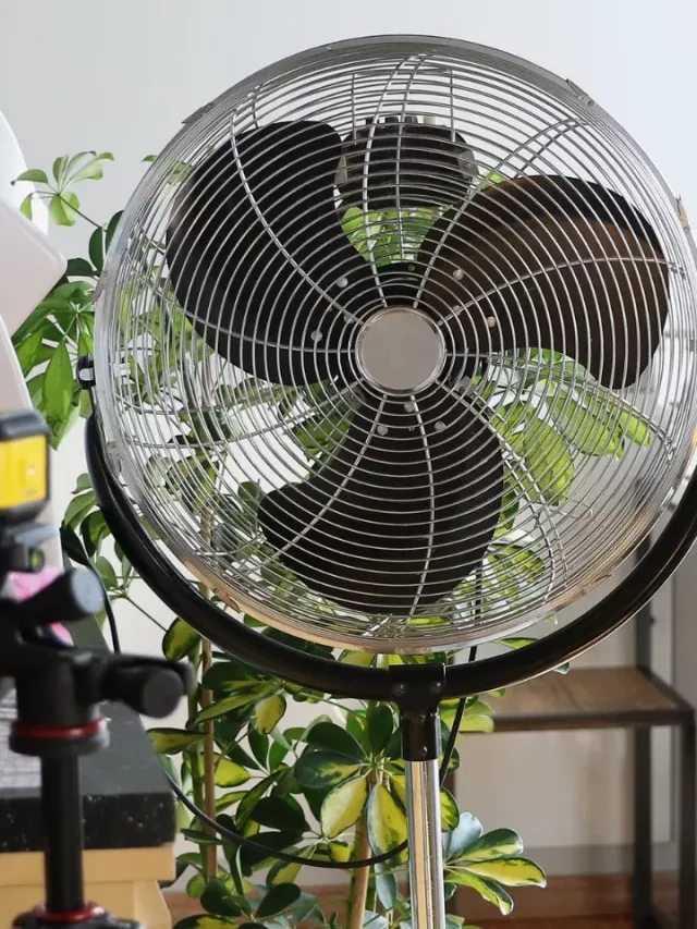 7 Most Efficient Air Coolers for Your Home