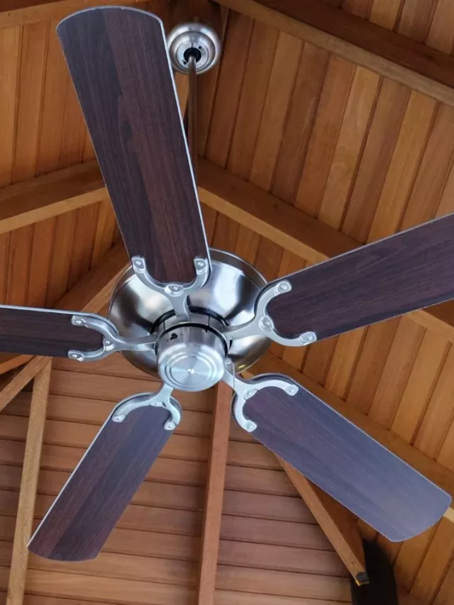 Best Different Types of Fans For This Summer