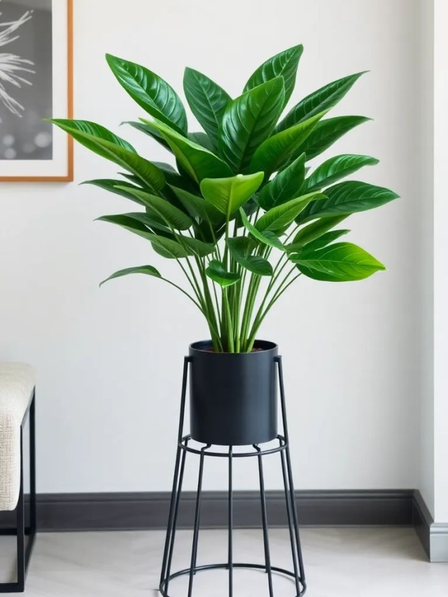 7 Indoor Plants That Live For 20 Years Or More
